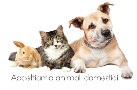 animali benvenuti su Loforese NCC Taranto NCC Taranto noleggio con conducente