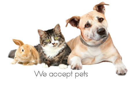 animals we accept animals loforese ncc